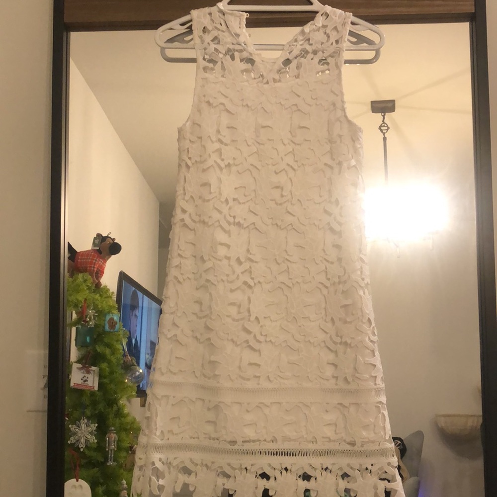 Francesca's White XS Dress with Embroidered Lace Overlay - Picture 4 of 5
